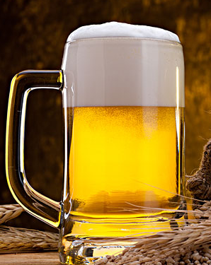 啤酒花有助遏制肌肉萎缩
